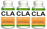 3 BOTTLES CLA 540 total caps Conjugated Linoleic Acid Fat Burner 1000 mg serving KRK SUPPLEMENTS