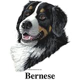 Bernese Mountain Dog Cordial - Shot Glass