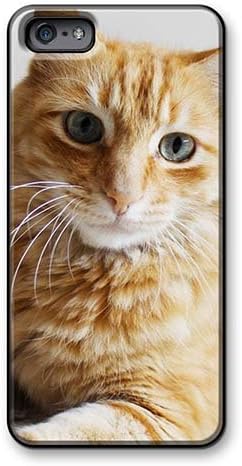 Iphone High Quality Cases/ Cat XOQ681Munh Cases Covers For Iphone 6s
