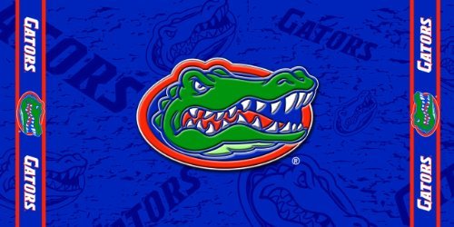 Florida Gators Beach Bath Towel