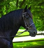 Perri's Leather American Made Leather Bridle