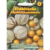 Eigenschaften Chrestensen  / Erdkirsche/ Andenbeere (Portion)