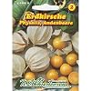 Erdkirsche/ Andenbeere (Portion)