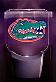 Florida Gators Night Light