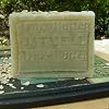 All Natural Oatmeal with Brazilian Mango Butter Soap