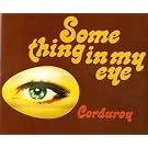 Something in My Eye