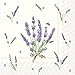 Celebrate the Home Floral 3-Ply Paper Cocktail Napkins, Bouquet of Lavender, 20 Count