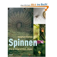 Spinnen: Die erfolgreichen J�ger