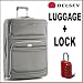 Delsey 29 Inch Platinum Expandable Suiter Trolley Plus Wordlock TSA Approved Combinat...