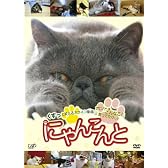 にゃんこんと~くすっと笑えるネコネコ動画 ホントはこんなこと言ってたりして~ [DVD]