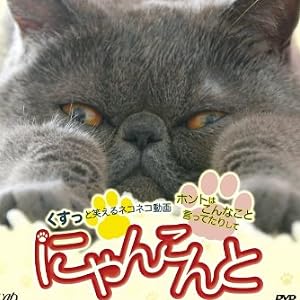 にゃんこんと~くすっと笑えるネコネコ動画 ホントはこんなこと言ってたりして~ [DVD]