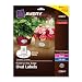 Avery Easy Peel Print-To-The-Edge Permanent Labels, Oval, Laser/InkJet, 1.5 x 2.5-Inches, Glossy White, Pack of 180 (22804)
