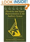 Plasticity and Signal Representation in the Auditory System