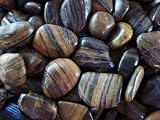 20 lbs. Polished Stripe Pebbles (1/2
