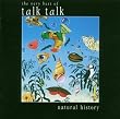 Natural History-the Very Best of Talk Talk