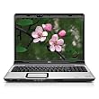 HP Pavilion DV9540US 17-inch Laptop (Intel Core 2 Duo Processor T5250, 2 GB RAM, 240 GB Hard Drive, Vista Premium)