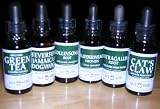 Gaia Herbs Organic Green Tea 1 fl oz