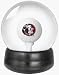 Florida State Seminoles Golf Ball Globe Game Image