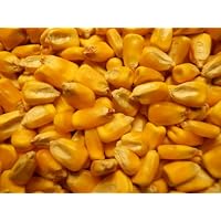Whole/Shelled Corn