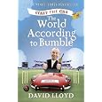 Start the Car: The World According to Bumble
