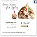 Amazon Gift