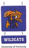 Kentucky Wildcats UK Design Post Yard Sign