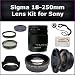 Sigma 18-250mm f/3.5-6.3 DC OS HSM Autofocus Zoom Lens Kit For Sony Alpha A290, A380, A390 Digital SLR Cameras. Package Includes: Sigma 18-250mm Lens, 0.45X Wide Angle Lens, 2X Telephoto Lens, Lens Cap, Lens Hood, Lens Cap Keeper, 3 Piece Filter Kit (UV-FLD-CPL) and Microfiber Cleaning Cloth