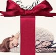 CAROL(初回限定盤)(DVD付)