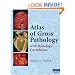 Atlas of Gross Pathology: With Histologic Correlation