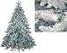 9 Blue/Green Just Cut Natural Frasier Pre Lit Artificial Christmas Tree   Clear