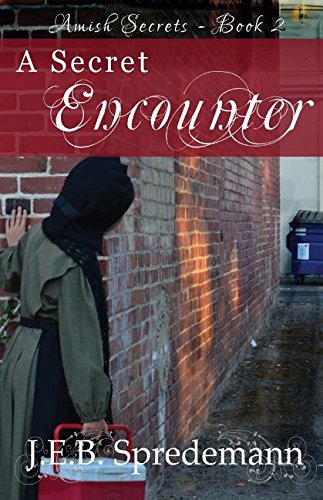 a secret encounter amish secrets book 2