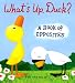 What's Up, Duck?: A Book of Opposites (Duck & Goose)