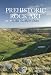 Book Prehistoric Rock Art in the Northern Dales