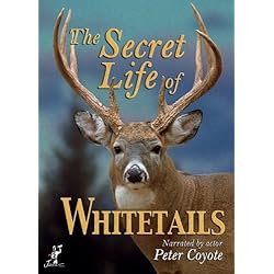 Secret Life of Whitetails