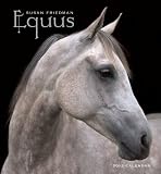 Susan Friedman: Equus 2012 Calendar (Wall Calendar)