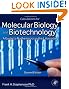 Calculations for Molecular Biology and Biotechnology, Second Edition: A Guide to Mathematics in the Laboratory 2e