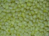 Gourmet Food : Buttered Popcorn Jelly Beans