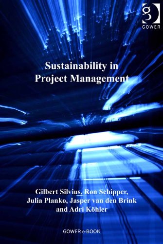 Sustainability in Project Management (Advances in Project Management)