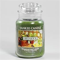 Yankee Candle - Greenhouse 22oz