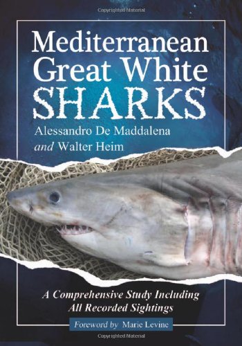 Mediterranean Great White Sharks: A Comprehensive Study Including All Recorded Sightings