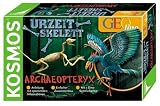 Eigenschaften KOSMOS 630294 / KOSMOS-630294-Skelett Archaeopteryx 630294