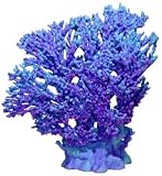 Ornament - Table Coral Xx-large Purple