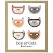 Box of Cats: Gift-Wrapped GreenNotes -- environmentally friendly Greeting, Invitation & Thank You Cards made with uncoated paper