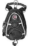 South Carolina Gamecocks USC NCAA Black Mini Day Back Pack