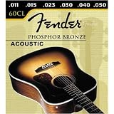 Fender