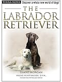 The Labrador Retriever (Terra-Nova)
