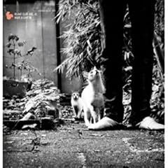Hi-Hat Club Vol.6-Haus & Garten [Vinyl LP]