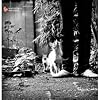 Hi-Hat Club Vol.6-Haus & Garten [Vinyl LP]