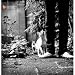 Hi-Hat Club Vol.6-Haus & Garten [Vinyl LP]