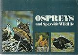 Ospreys & Speyside wildlife